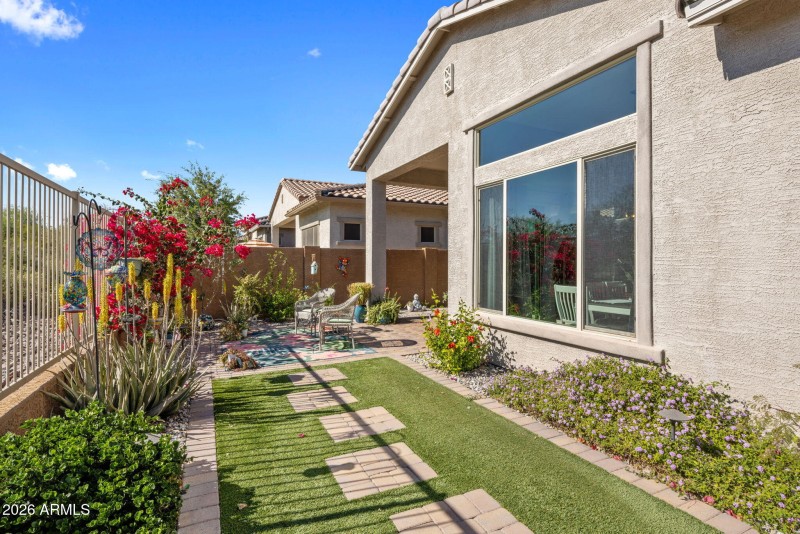 Amazing Outdoor Space