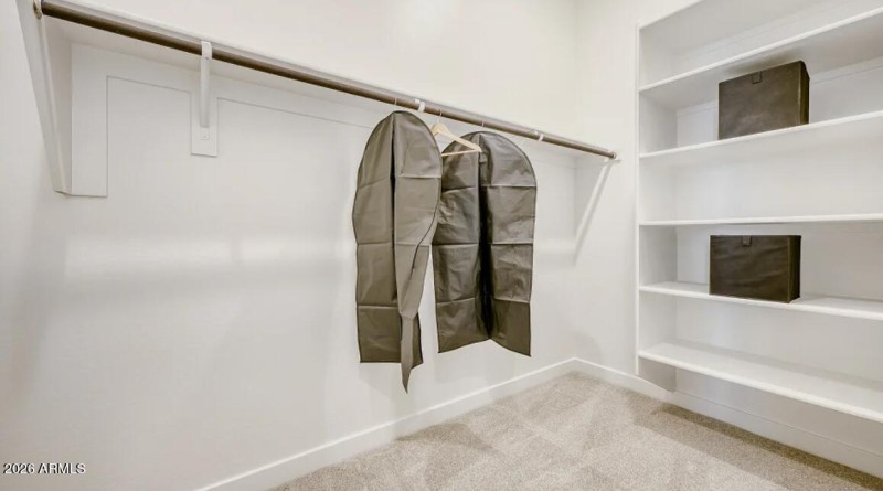 Owners Walk in Closet