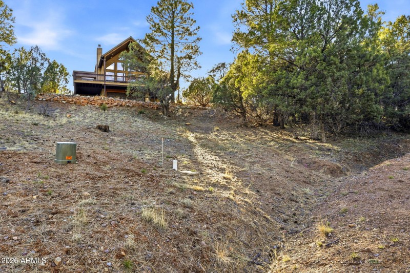 2245GrizzlyDr-HeberOvergaard-AZ-5