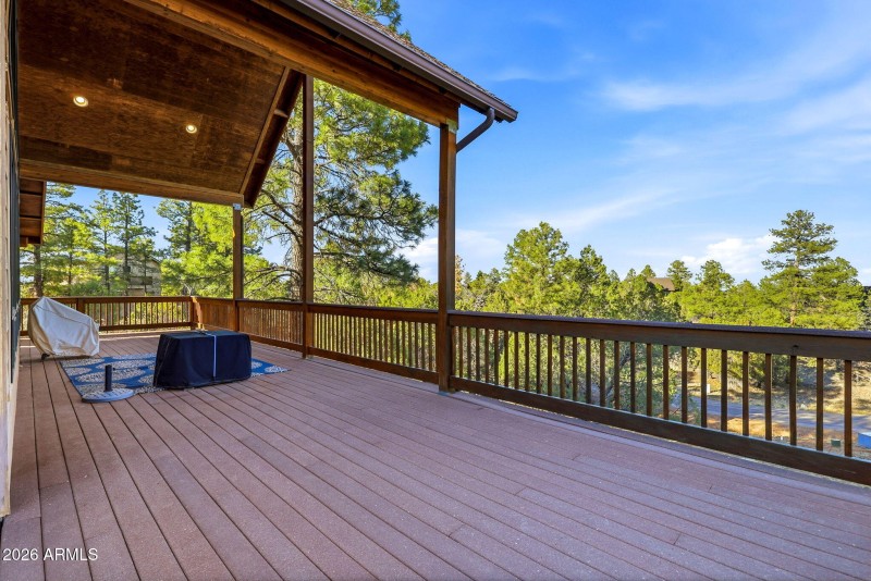 2245GrizzlyDr-HeberOvergaard-AZ-9