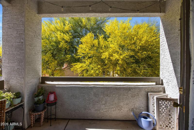 16-web-or-mls-D46A2148 copy