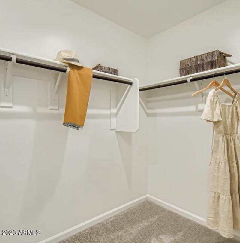 Owners Walk in Closet