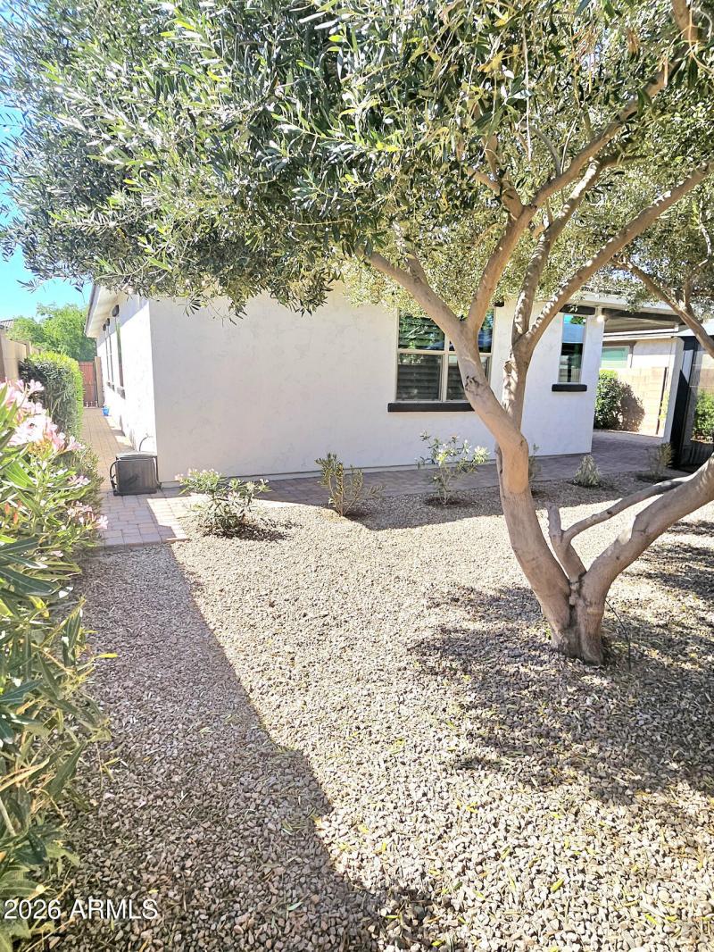 253EC961-4EC6-4CA8-9CCE-F6C0FF141DD2