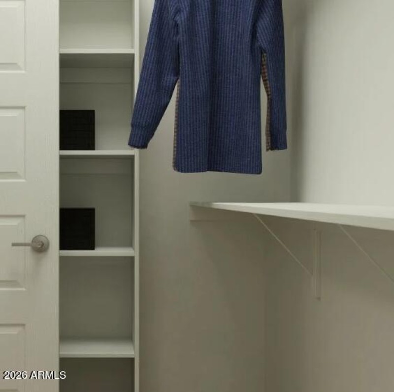 Owners Walk in Closet