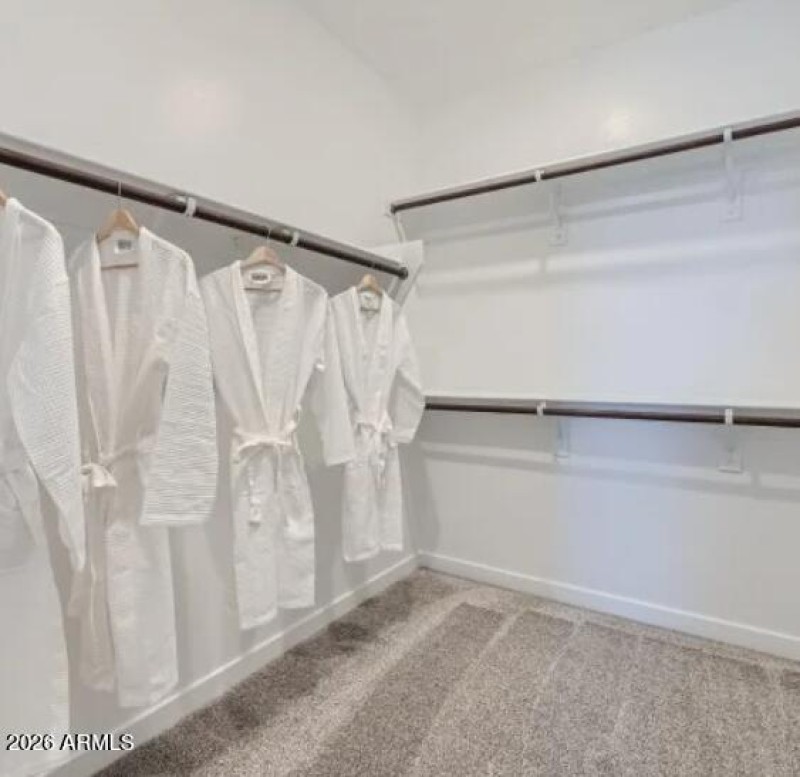 Owners Walk in Closet
