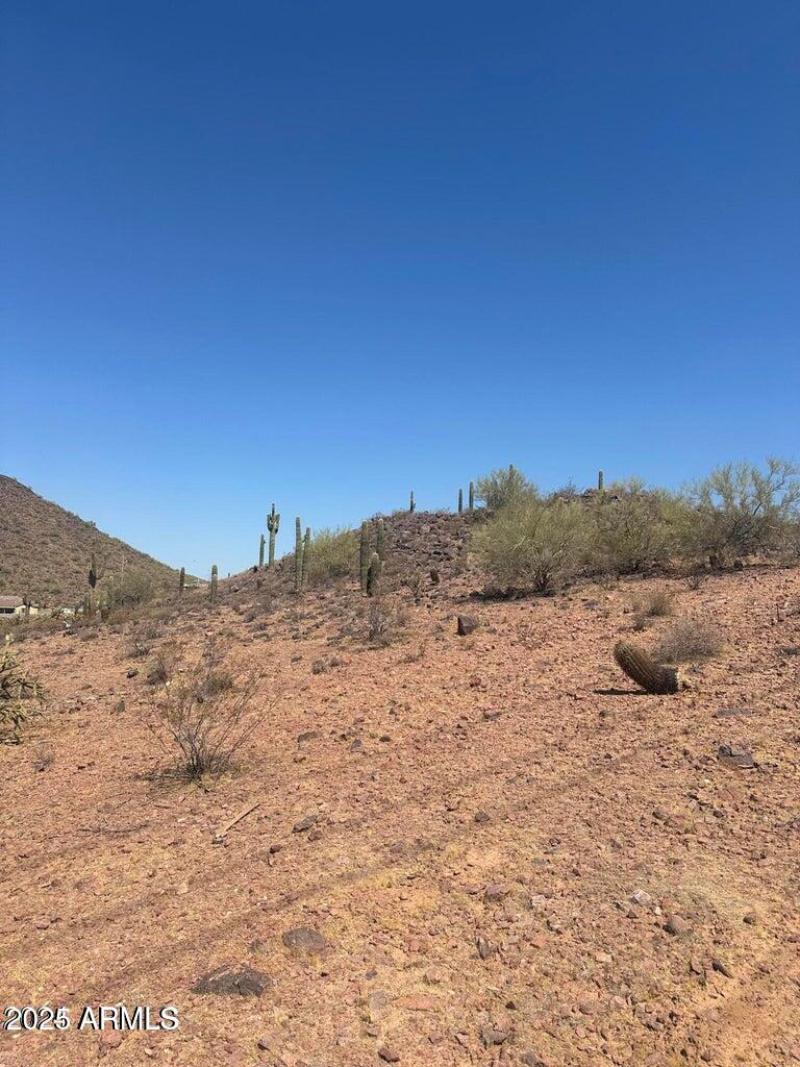 20240722175459433338000000-o