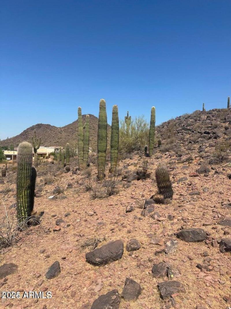 20240722175500047957000000-o