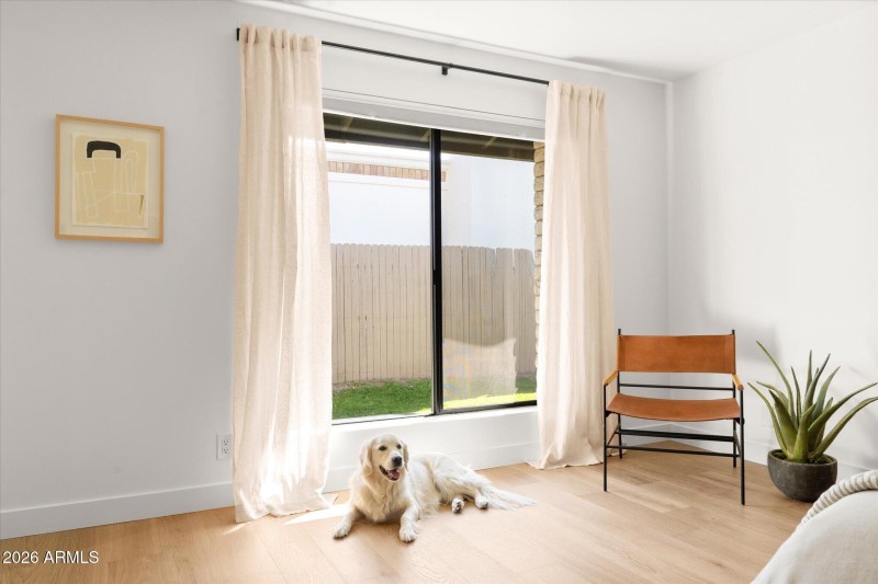 Primary Bedroom & Gus