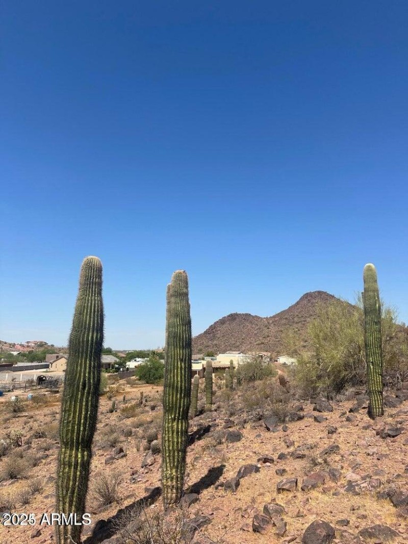 20240722175619224231000000-o