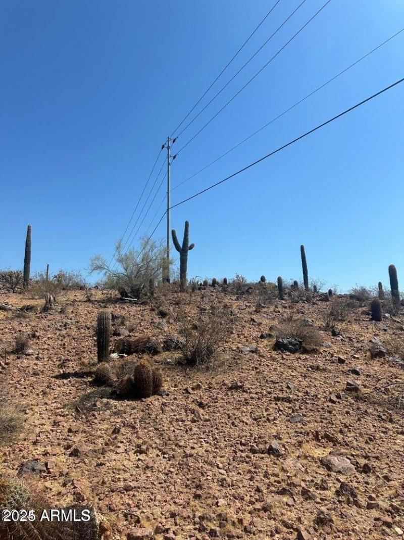 20240722175509225953000000-o