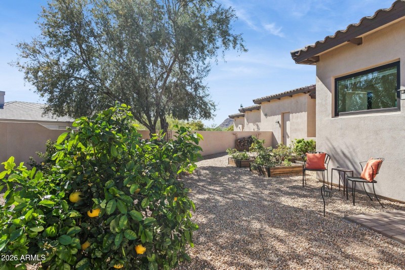 Fruit trees and garden area