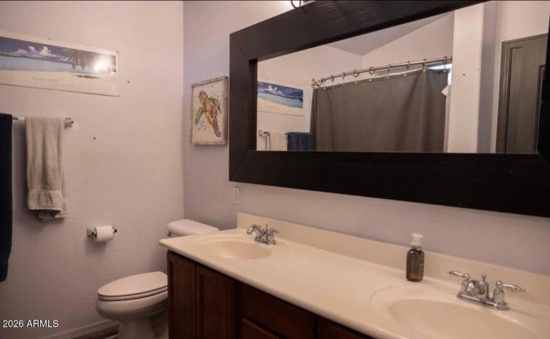 IMAGE 2026-03-19 11:36:41