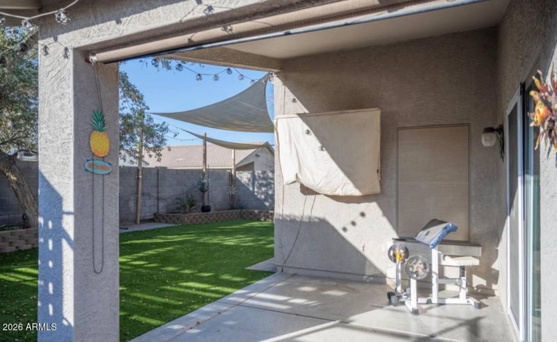 IMAGE 2026-03-19 11:36:45