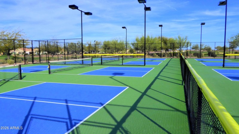 Sun City 15 Pickleball