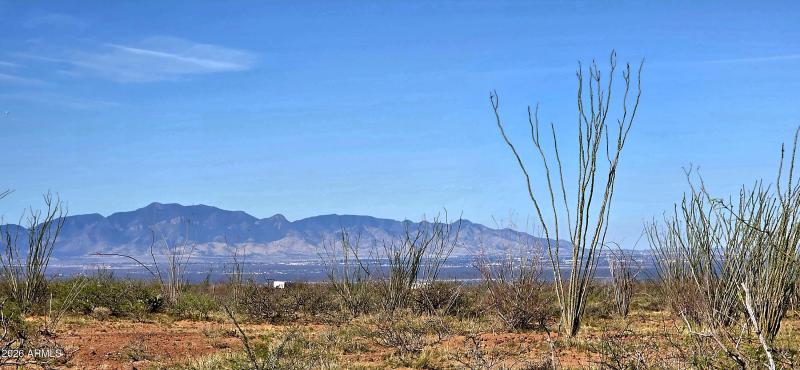 2952 East Jones Boulevard