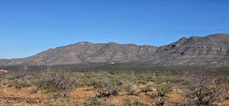 2952 East Jones Boulevard