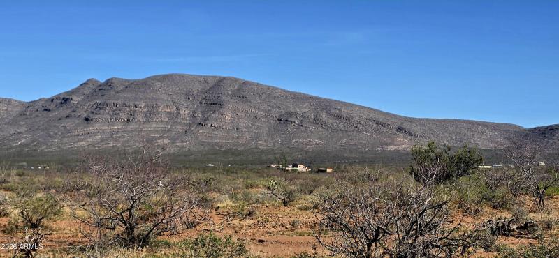 2952 East Jones Boulevard