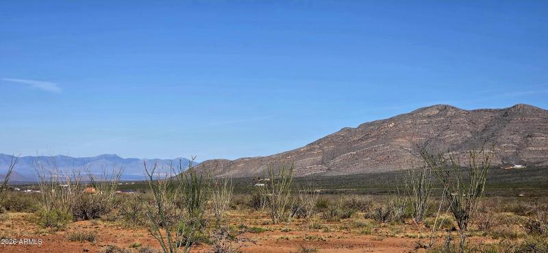 2952 East Jones Boulevard