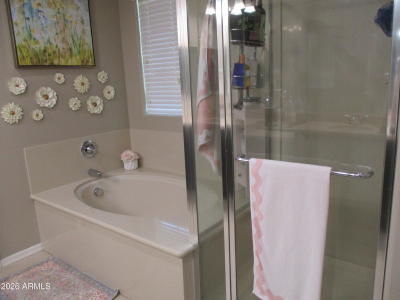 856 S Agnes Lane Primary Ensuite Shower