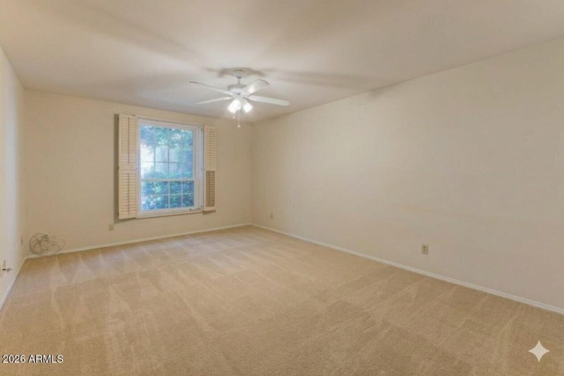 photo_2026-03-19_12-55-15 (3)