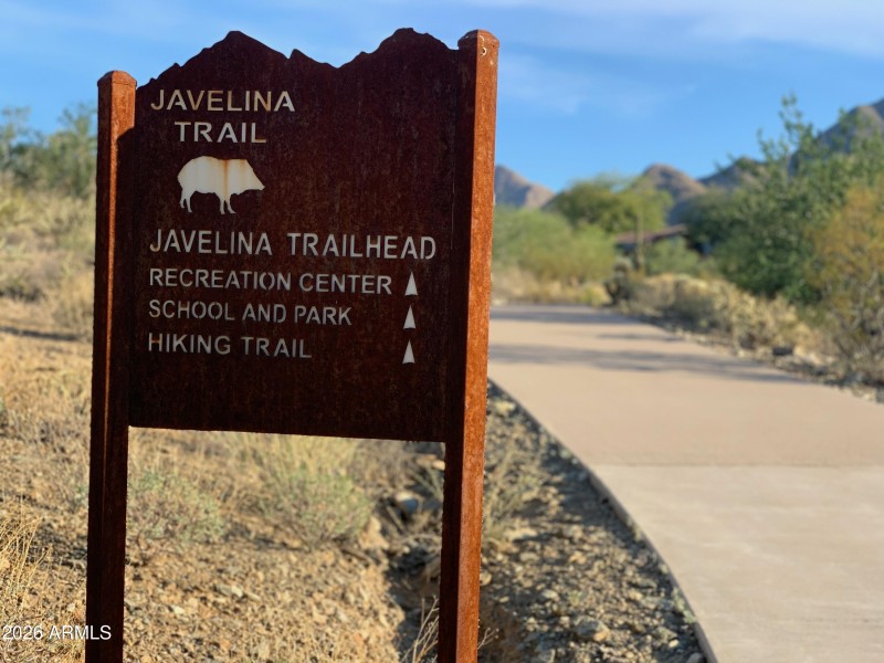 MMR Javelina Trail