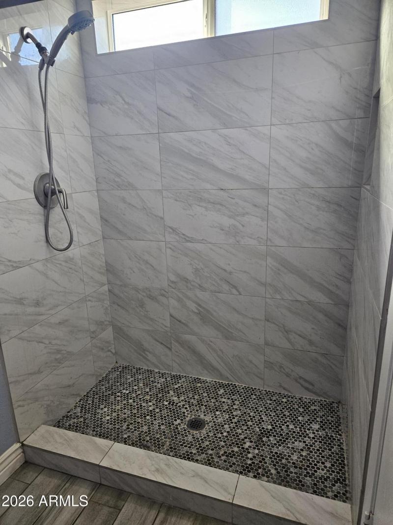 MOUNTAIN VIEW MASTER SHOWER