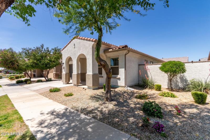 0003-03 - Tumbleweed