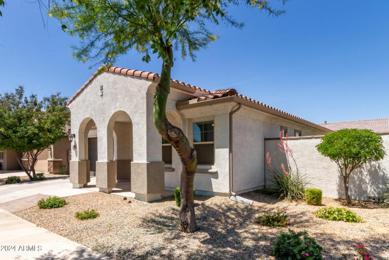 0004-04 - Tumbleweed