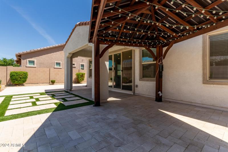 0029-29 - Tumbleweed