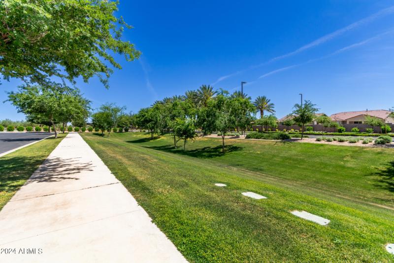 0040-39 - Tumbleweed