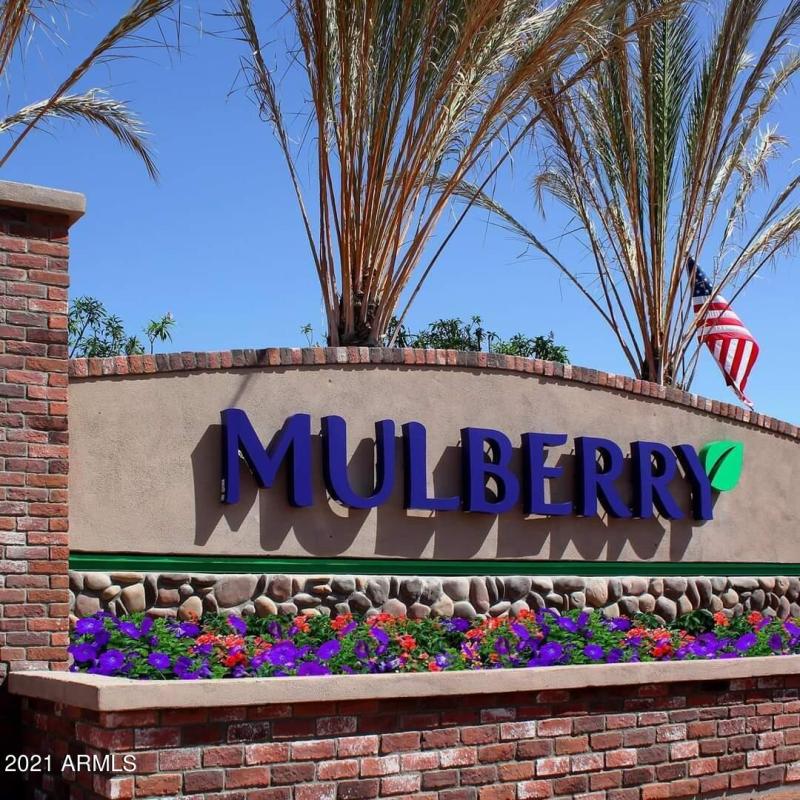 FB_IMG_1638935686636