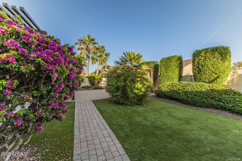 Lush Backyard with Artificial Turf