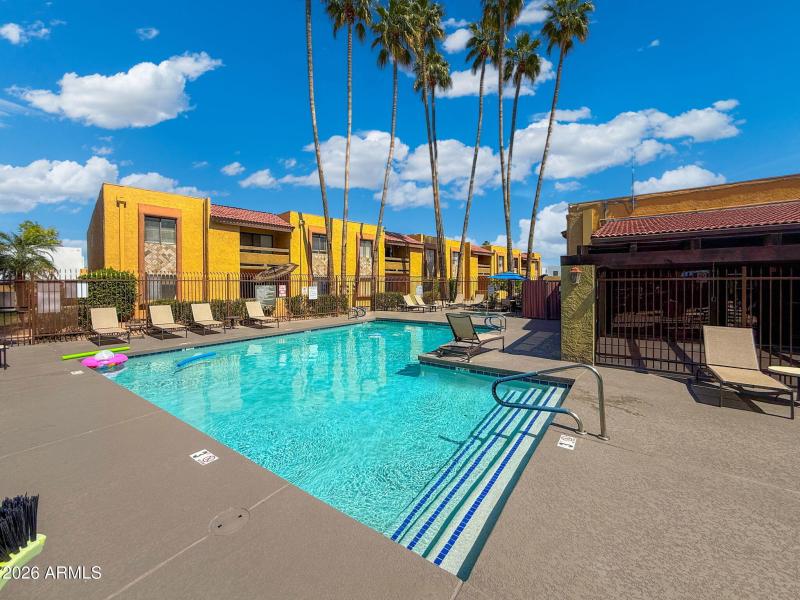 2-web-or-mls-2-print-IMG_5020