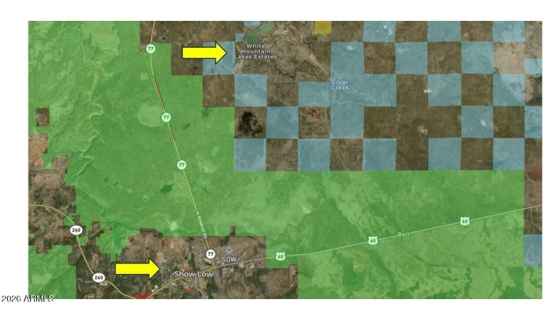 show low and national forest