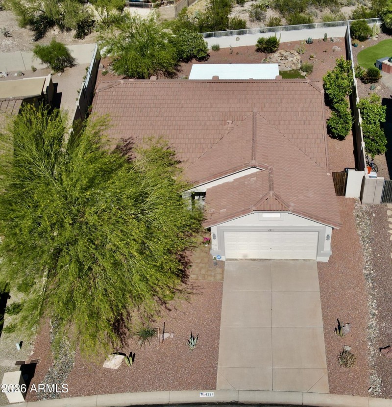 dji_fly_20260319_145616_353_177397668582