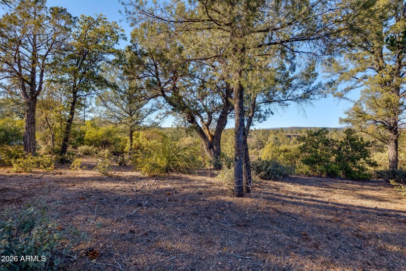 203SRimClubRd-Payson-AZ-12