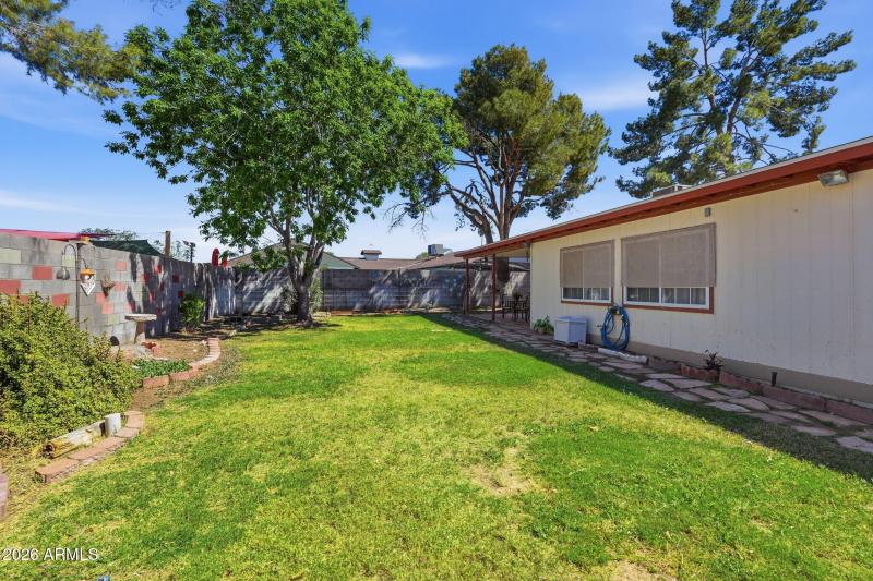 Grassy Play Area in the Back Yard