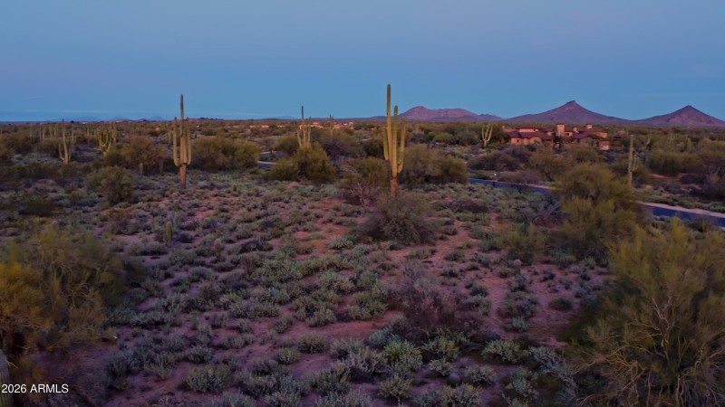 Still 2 subjecr lot_1.31.4