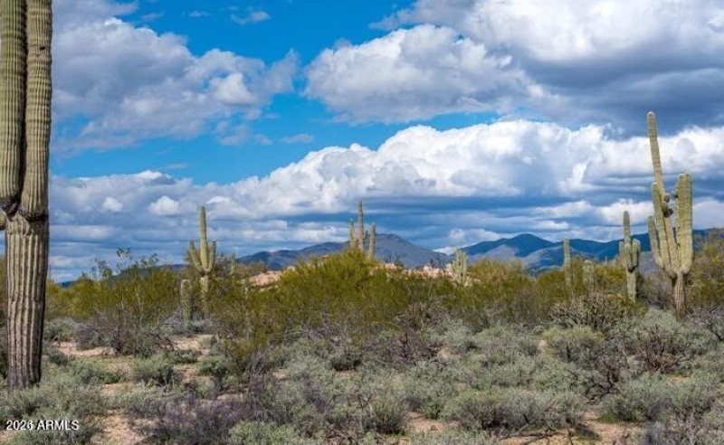 20241112224029330706000000-o