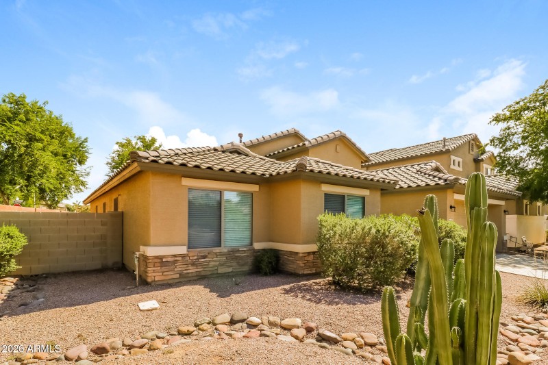 001-photo-front-view-11484976