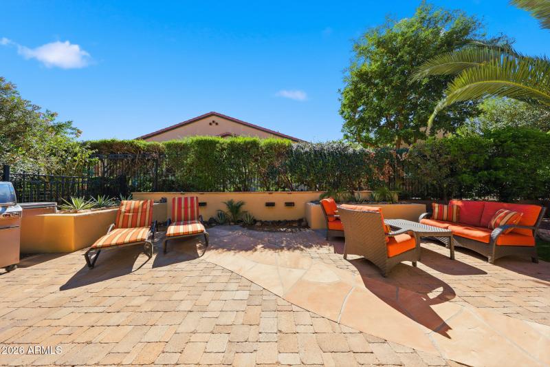 Mature shrubs for privacy