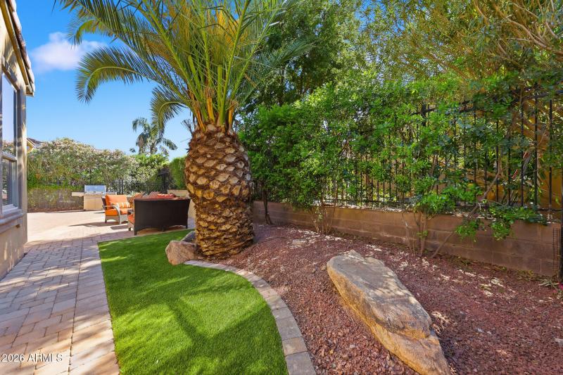 Shade from mature trees