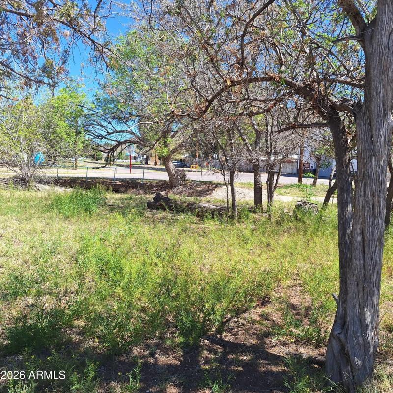 657271637_26592974953670456_688929564975