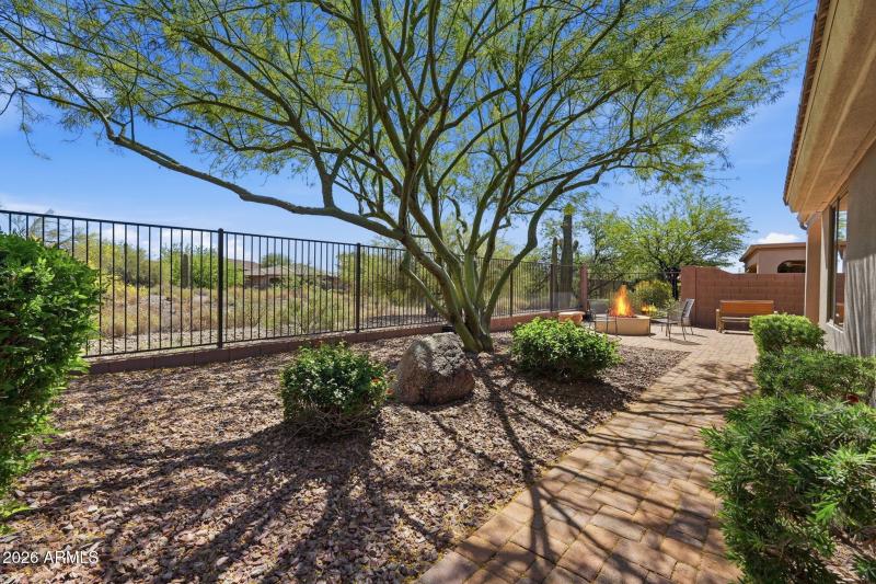 Open Backyard + Shaded Spots