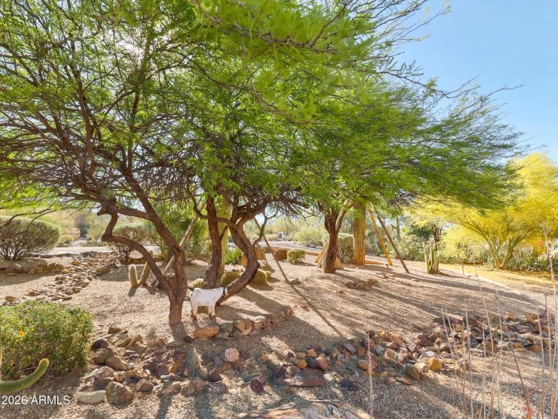 08-35414 N Palo Verde Way-8