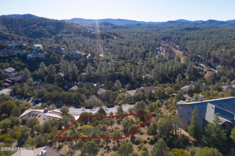 Southern View of National Forest