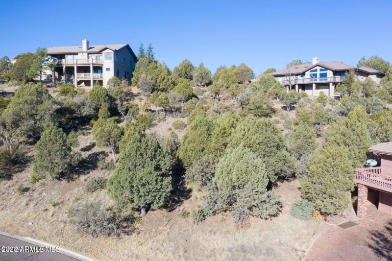 Junipers & Pinon Pine