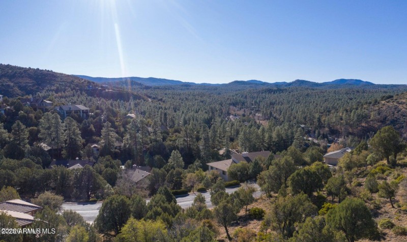 Surrounded by Beauty