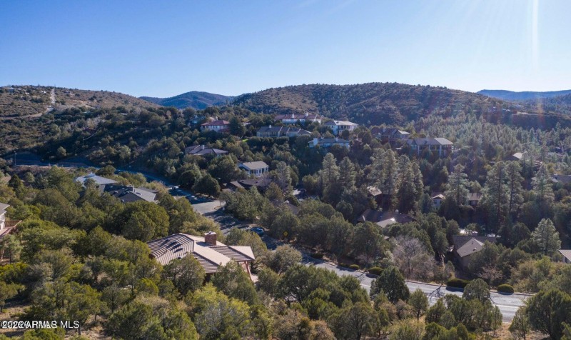 Views from the Just Above the Trees