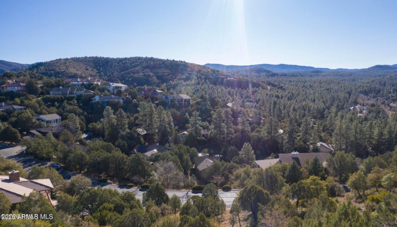 Views from the Just Above the Trees